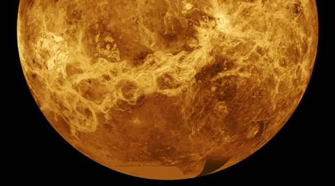 Venus could have once hosted life: NASA