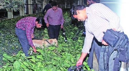 Hoax call triggers bomb scare at Chandigarh airport