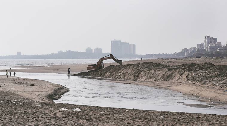 19 teams formed to clean beaches, riverfronts: Environment Ministry