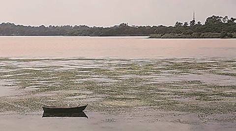 Thane: Middle-aged man's body found in lake - The Indian Express