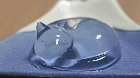 The sleeping cat Raindrop Cake is a rage and it's just unbelievably cute