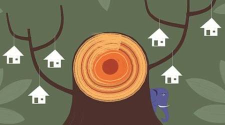 Forest rights and wrongs