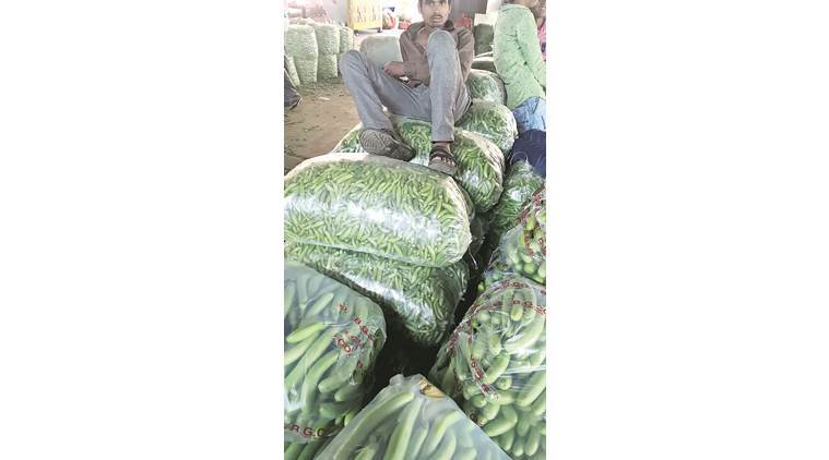 Gujarat, Gujarat news, Padra, Padra APMC, demonetisation, vegetable supplies hit, demonetisation vegetable supplies hit, agriculture, indian express, india news