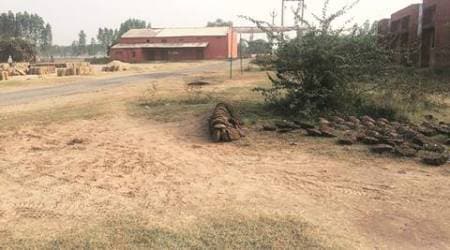 SYL row: Punjab govt announce aid of Rs 10,000 per acre to farmers to fill land