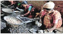 Demonetisation: Here’s How It Affects Kerala Estate WorkersDemonetisation: Here’s How It Affects Kerala Estate Workers