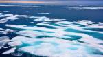 Climate change has enormous implications in Himalayas: Senator
