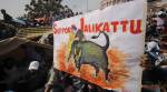 SC issues notice to Tamil Nadu on PETA’s plea on Jallikattu