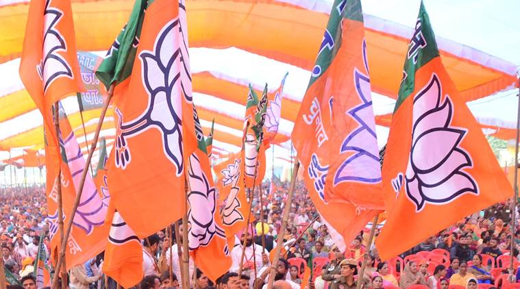 BJP leader: Temple will be built irrespective of SC order