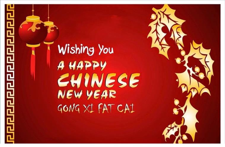Image result for happy chinese new year in chinese