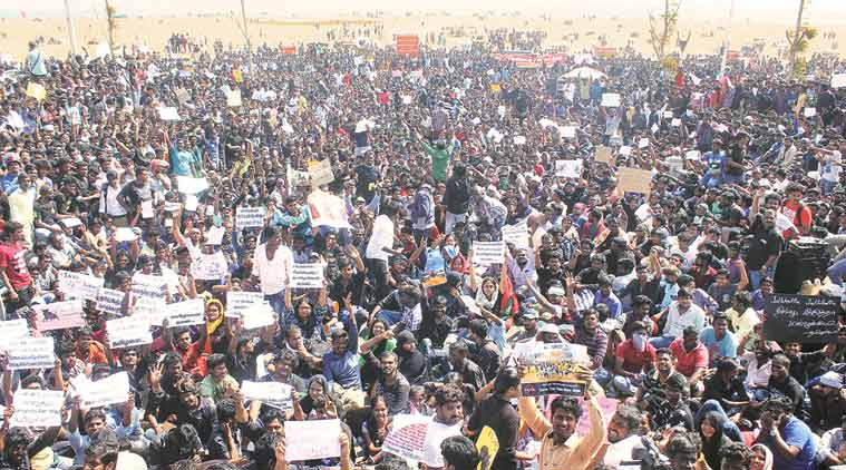 jallikattu-beach-759