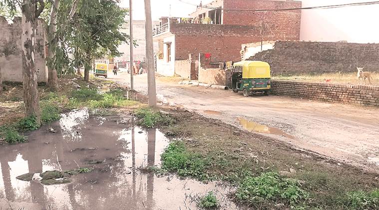 sewage, dirty pong, aya nagar, garbade, sewage pond near school