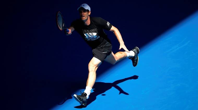 andy murray, murray, sir andy murray, australian open, andy murray australian open, andy murray grand slams, tennis news, sports news