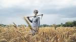 Environment clearance hearing in Rajkot: Villagers raise concern over losing land to airport project