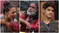 Bigg Boss 10: Swami Om pees on Bani and Rohan, Bigg Boss evicts him