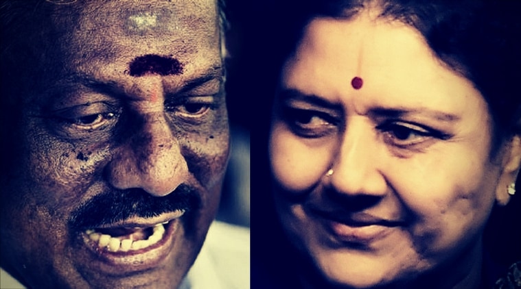 v k sasikala news, o panneerselvam news, india news, indian express news