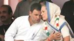 Himachal Pradesh elections 2017: Sonia, Rahul star campaigners for Congress