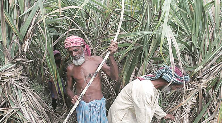 gurdaspur news, lok sabha news, india news, indian express news