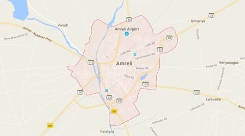 Gujarat: Lion dies after hit by train engine in Amreli