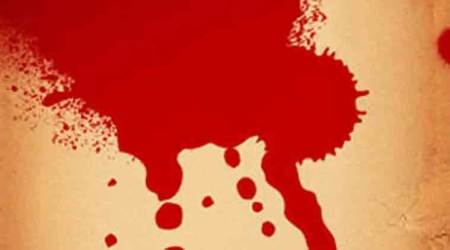 Hit by a cricket bat, Delhi man bleeds to death