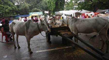 Muzaffarnagar: Locals beat up cops who visit village over cow slaughter reports