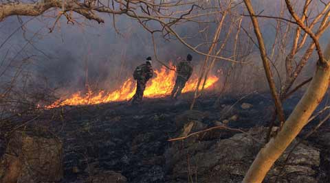 EXCLUSIVE: Daring images of massive forest fire fighting operation in Udaipur - The Indian Express
