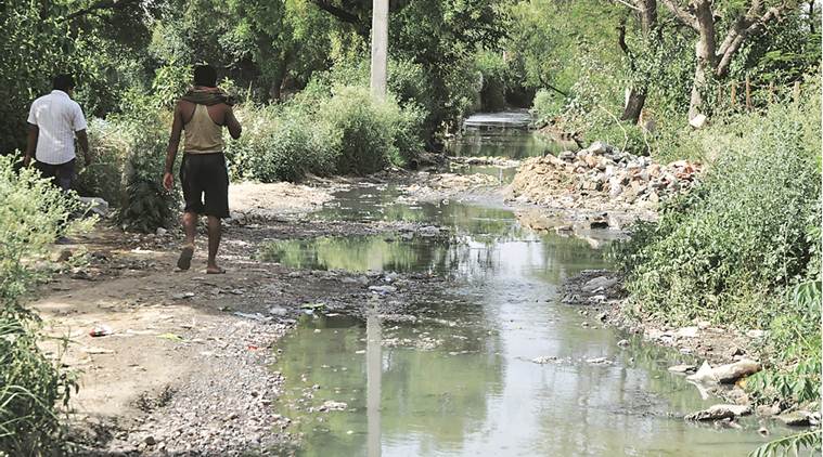 mcd polls, delhi mcd polls, delhi civic polld, mcd elections, dtc buses, Salapur Khera village , delhi transport, Purvanchali migrants, delhi -gurgaon border, delhi news, india news, latest news