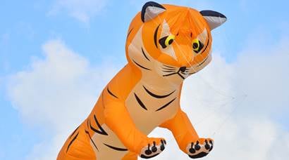 Bekal kite festival: When crouching tiger soared above Pallikkare