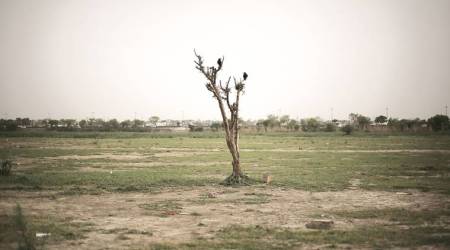 ‘No compaction’ on Yamuna floodplains: New NGT panel contradicts earlier claims on AOL impact