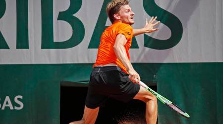 French Open 2017: Players sorry for David Goffin after freak accident