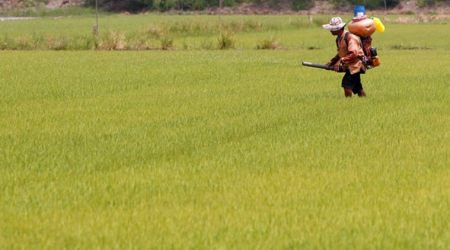 Farmers protests: What is Swaminathan Commission Report and how is its implementation relevant?