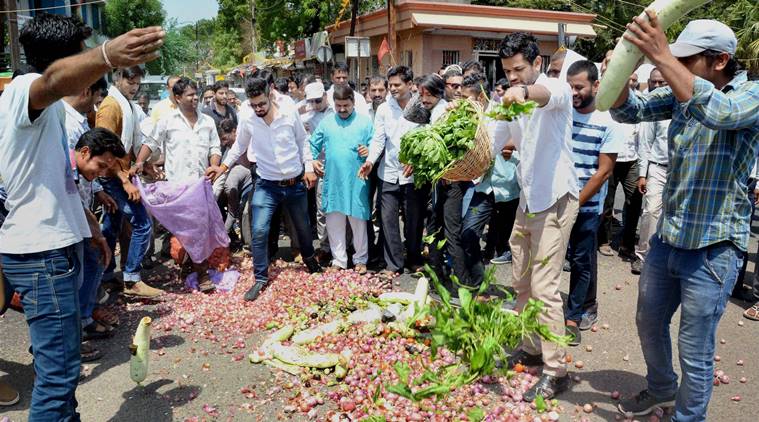 Why Farmers In Madhya Pradesh And Maharashtra Are Protesting India