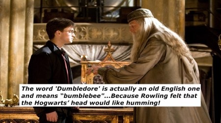 20 years of Harry Potter: 20 facts from the world of Harry Potter you probably did not know before