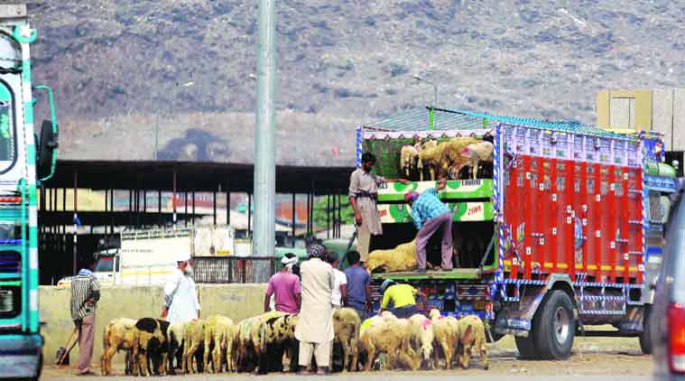 Haryana slaughter houses, meat ban