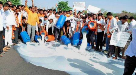 In Maharashtra, farmers protest by emptying milk containers, dumping vegetables on the road