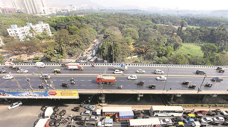 Mumbai, mumbai trees, Mumbai tree felling, BMC, Mumbai news, Indian express news