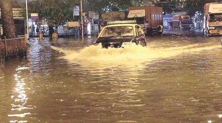 In just 2 days of rain, Mumbai records over 50 complaints of falling trees, branches