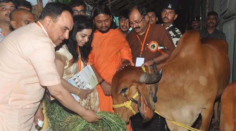 subramanian swamy. modi, india, centre, cow sluaghter, beef ban, bjp, congress government, subramanian swamy, modi government, india news, indian express news