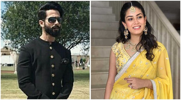 Shahid Kapoor, Mira Rajput, Shahid mira, mira rajput images, mira rajput photos