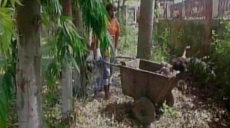 Muzaffarpur hospital, skmch,Bihar hospital, dead body, india news, indian express news