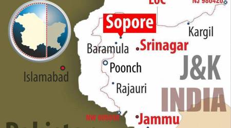 Two Hizbul militants killed hours after attack on police party in Sopore