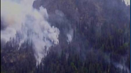 Uttarakhand: 48 hours later, forest fire in Gangotri area continues to rage