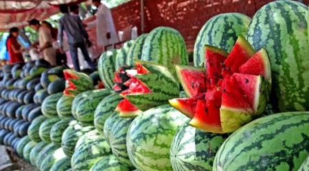 A Taste of Summer