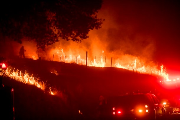 Western forest fire, What's happening around the world, World news