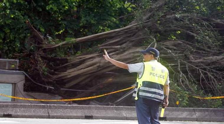 taiwan typhoon, taiwan 
