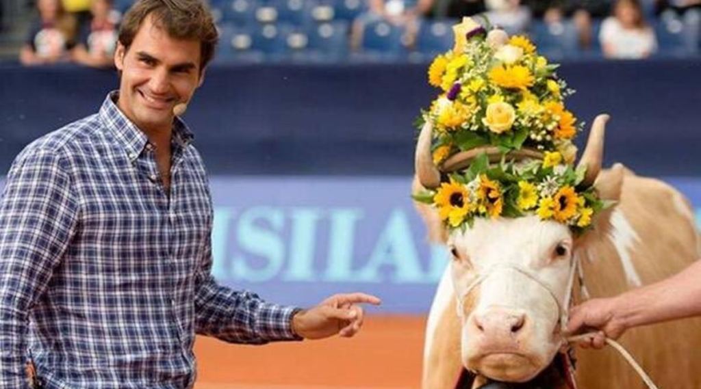 Wonderful to see Roger Federer's love for cows, says Virender Sehwag; see pics - The Indian Express