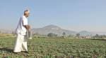 From plate to plough: Farm to distant shores