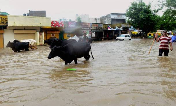 ahmedabad flood, gujarat flood, gujarat flood relief, vijay rupani, vijay rupani on floods, gujarat waterlogging, gujarat flood pictures