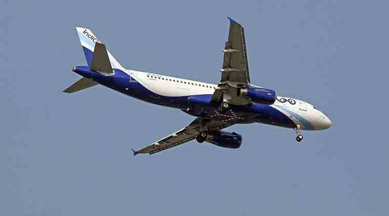 Indigo flight brought down, Suspect bird hit brings down Indigo flight, Indigo jet news, Indigo news, India news, National news, latest news