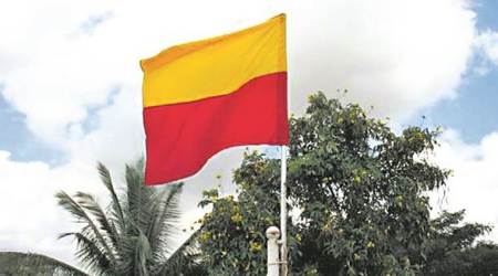 Why the flag of Kannada pride has triggered a row