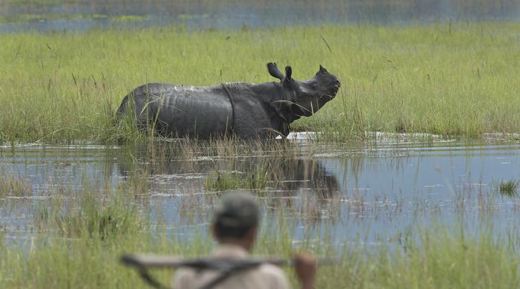 squatters, rehabilitation of squatters, resettlement of squatters, eviction notice to squatters in guwahati, squatters of Bhitarkanika national park, encroachers of Bhitarkanika national park, indian express news